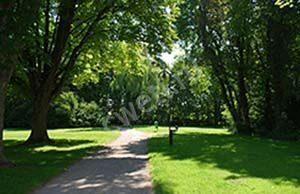 05-rulonniy-gazon-2017