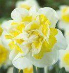 lukovitsi-2018-19.jpg